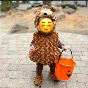 COPY - Brown Bear toddler costume